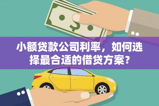 延平小额贷款公司利率，如何选择最合适的借贷方案？