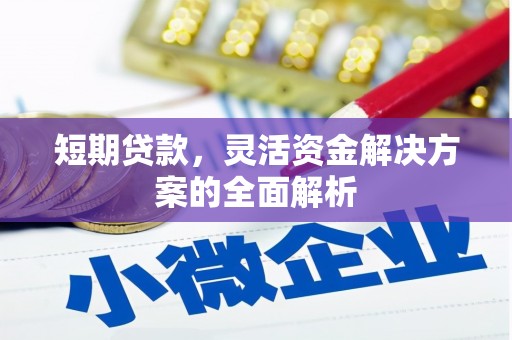 狮子山短期贷款，灵活资金解决方案的全面解析