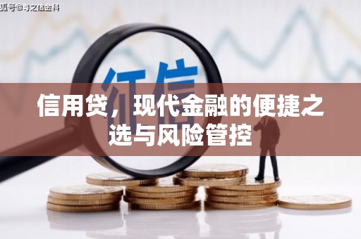 崇信信用贷，现代金融的便捷之选与风险管控