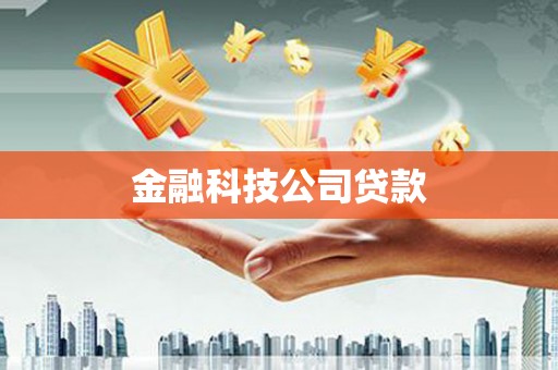 杂多金融科技公司贷款
