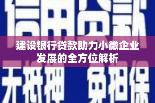 国姓建设银行贷款助力小微企业发展的全方位解析