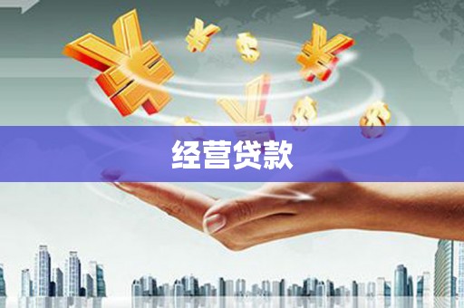 岳阳楼经营贷款