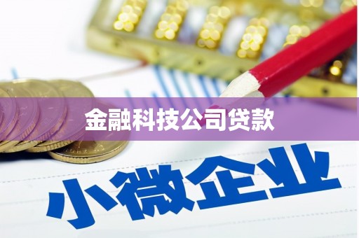 磐安金融科技公司贷款