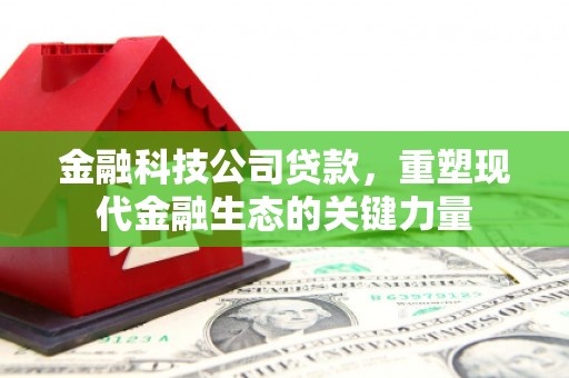 隆化金融科技公司贷款，重塑现代金融生态的关键力量
