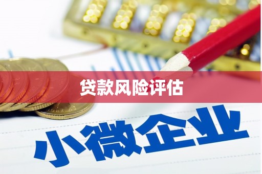 云霄贷款风险评估