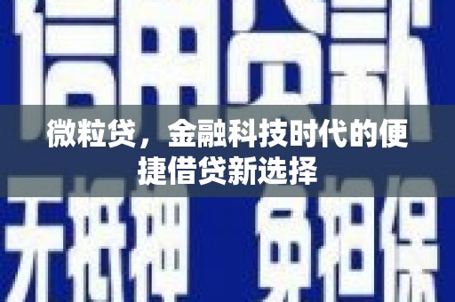 廉江微粒贷，金融科技时代的便捷借贷新选择