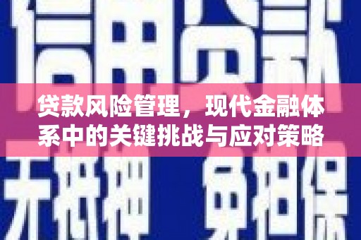 雾台贷款风险管理，现代金融体系中的关键挑战与应对策略