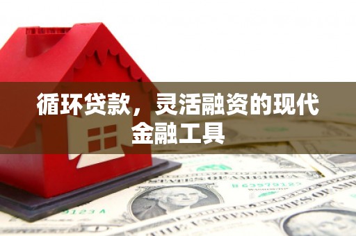 孝南循环贷款，灵活融资的现代金融工具