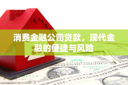 达日消费金融公司贷款，现代金融的便捷与风险