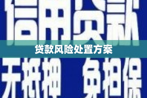 五峰贷款风险处置方案