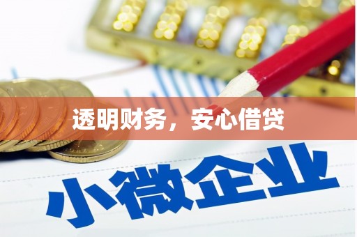 暖暖透明财务，安心借贷