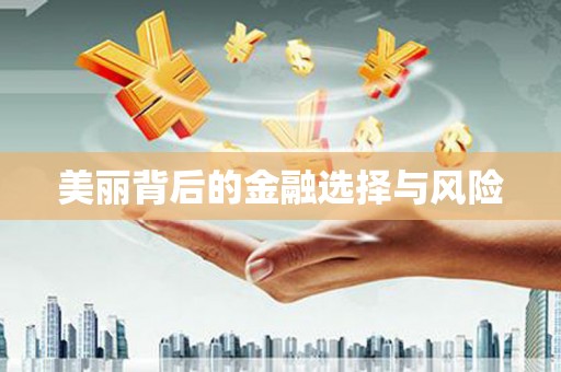 永济美丽背后的金融选择与风险