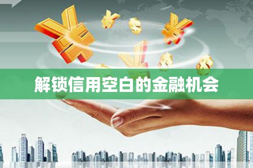 芦山解锁信用空白的金融机会