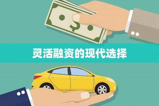 南湖灵活融资的现代选择