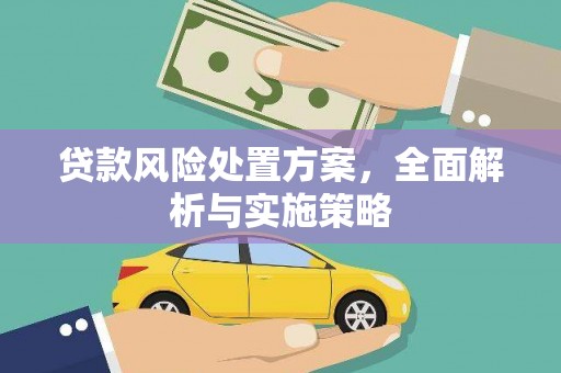 金溪贷款风险处置方案，全面解析与实施策略