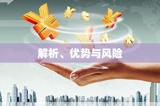 麦寮解析、优势与风险