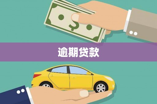 汕尾逾期贷款