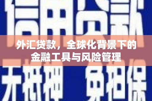 怀来外汇贷款，全球化背景下的金融工具与风险管理