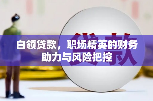 南宫白领贷款,职场精英的财务助力与风险把控 南宫白领贷款,职场精英的财务助力与风险把控