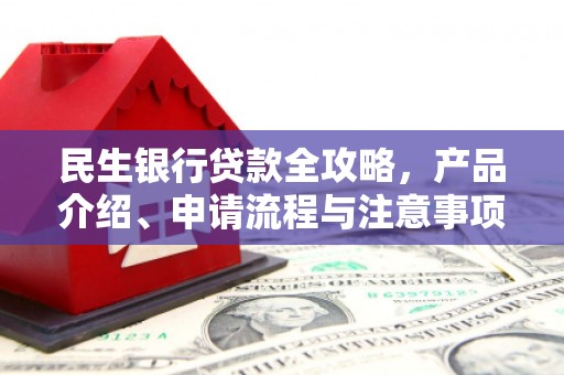 元长民生银行贷款全攻略，产品介绍、申请流程与注意事项